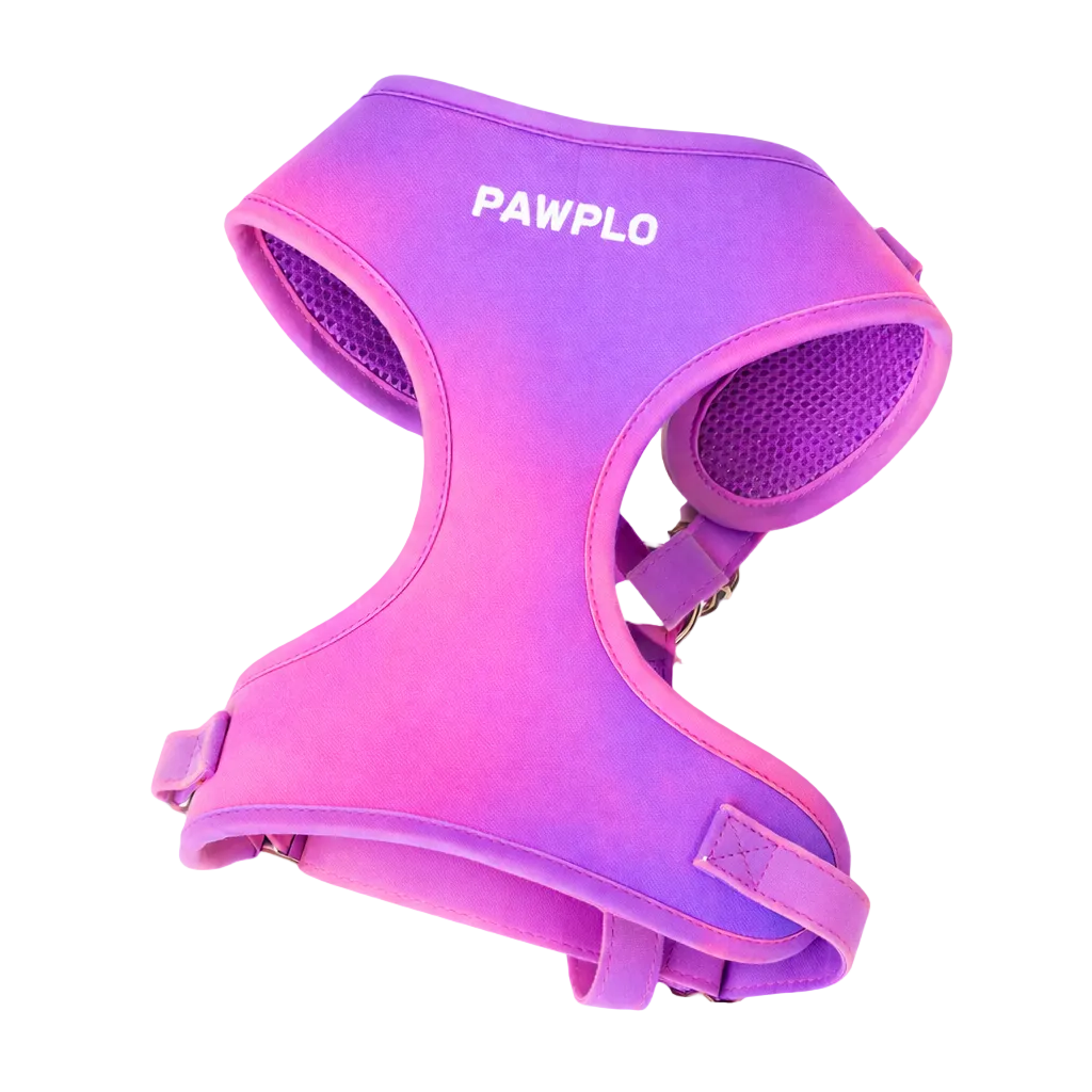 Colour Changing Harness & Leash