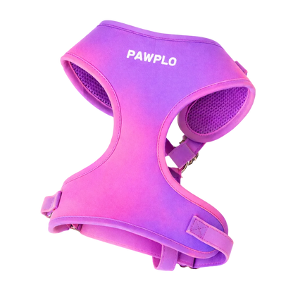 Colour Changing Harness & Leash