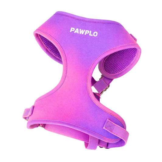 Colour Changing Harness & Leash