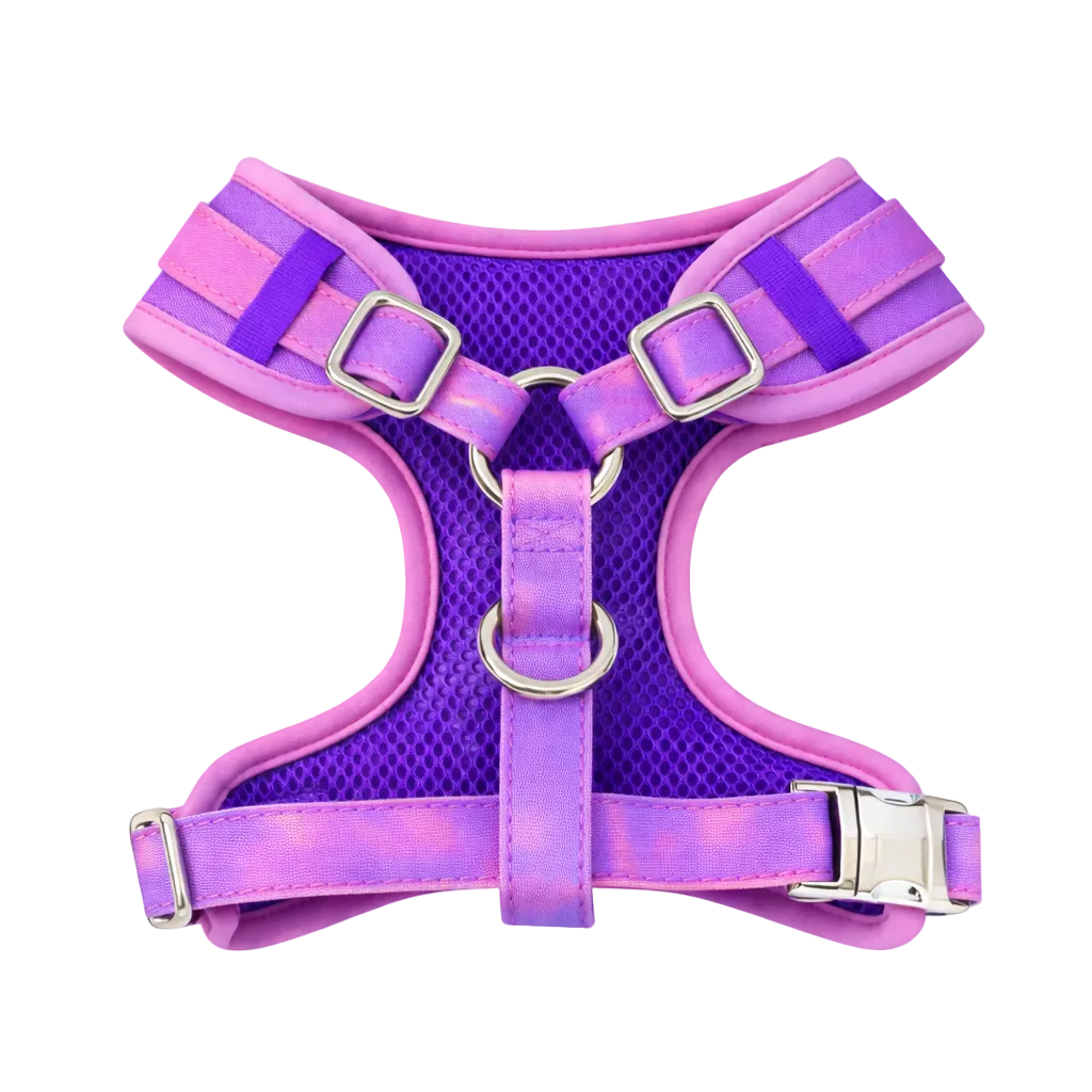 Colour Changing Harness & Leash