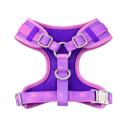 Colour Changing Harness & Leash
