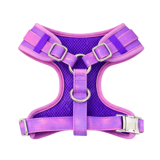 Colour Changing Harness & Leash